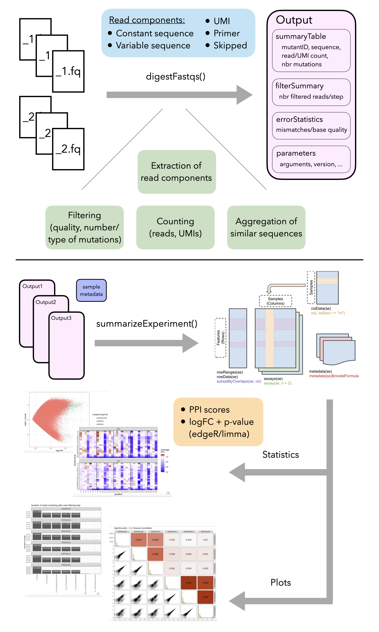 Overview of the `mutscan` functionality. The `digestFastqs()` function processes each sequencing library, possibly consisting of multiple (pairs of) FASTQ files, separately, and generates an output object containing, among other things, the count table and a summary of the filtering steps. The `summarizeExperiment()` function takes one or more of these objects and combines them into a `SummarizedExperiment` object, that can then be used for downstream analysis such as plotting and statistical testing.